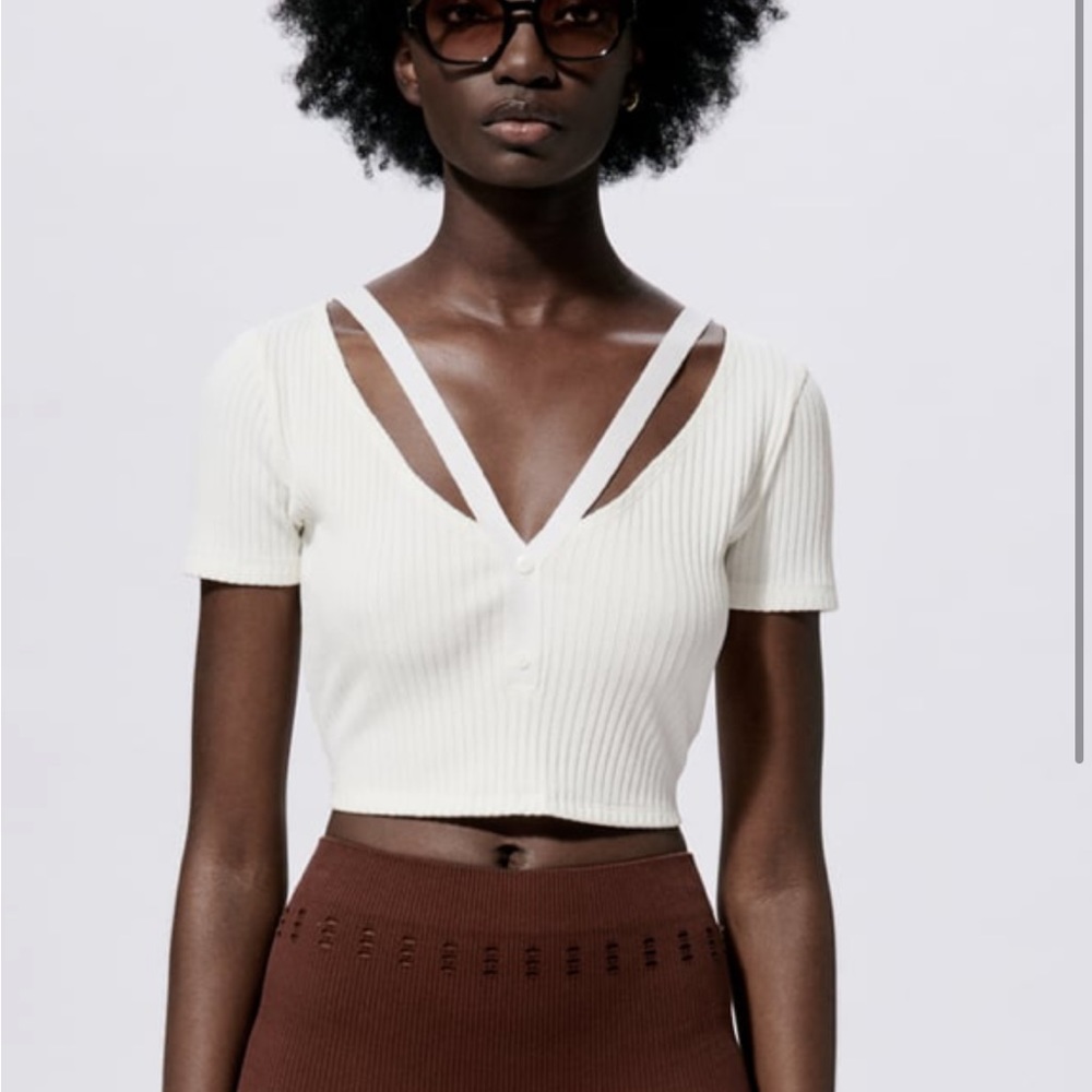 Zara crop top